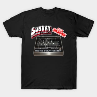 Sunday Afternoon in the Park T-Shirt